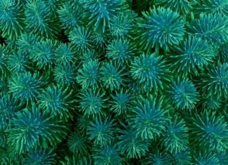 Get Affordable Wallpaper Installer