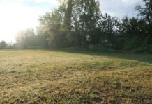 Land for Sale in Melton Booms Real Estate Market