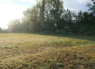 Land for Sale in Melton Booms Real Estate Market