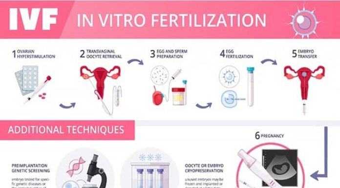 Explore the Past, Present and Future of IVF Treatment in Singapore