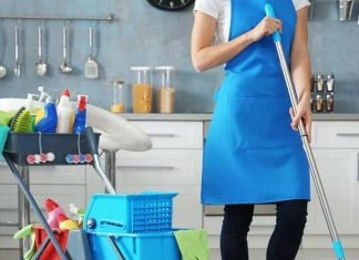 The Role of Filipino Maid Agencies in the Global Domestic Helper Industry