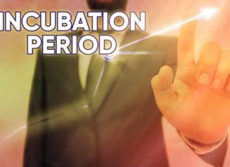 A Look at The Mills Fabrica Incubation Program