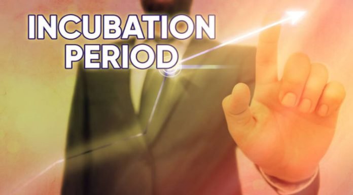 A Look at The Mills Fabrica Incubation Program