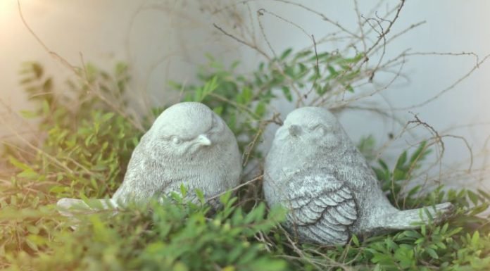 Add Personality to Your Outdoor Space with Garden Statues