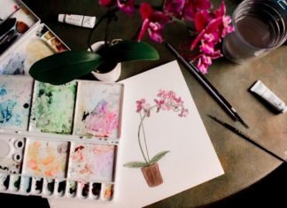 Top Interesting Hobbies You Should Add To Your Bucket List