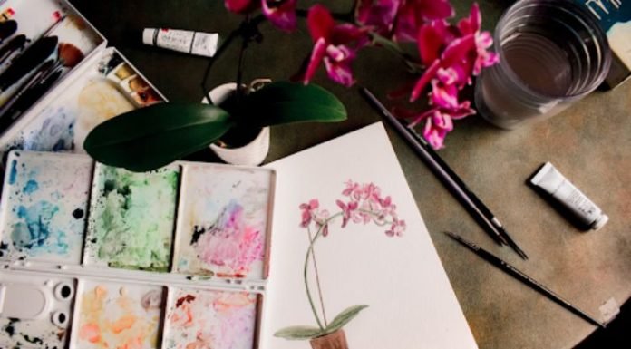 Top Interesting Hobbies You Should Add To Your Bucket List