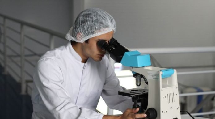 Important USP 800 Updates: What Healthcare Professionals Must Know?