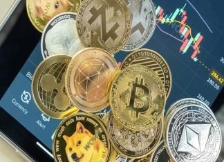 Investing in Bitcoin to Increase Returns: A Strategic Guide to Getting the Most out of Turkey Bitcoin Exchange